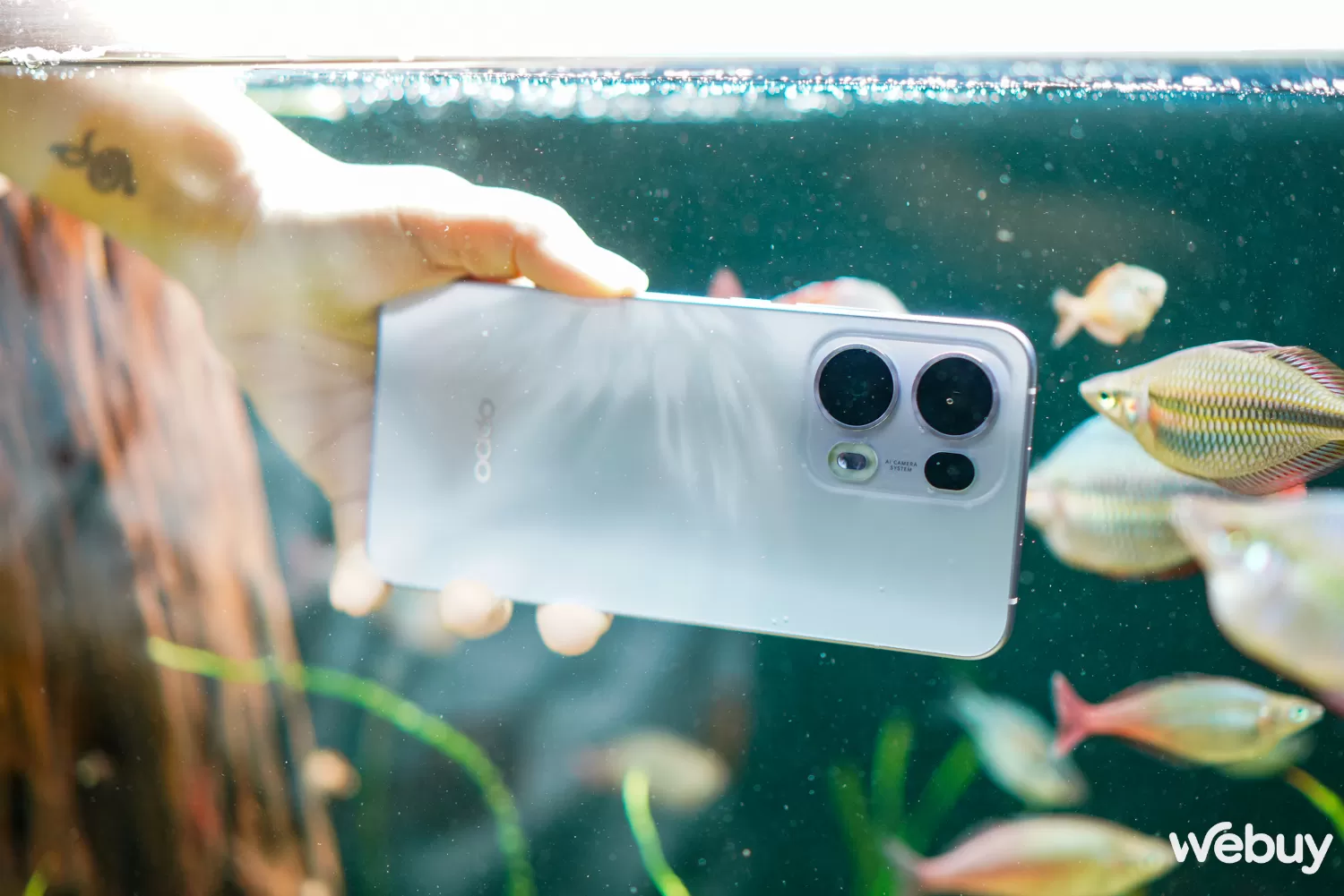 Reno13 Series xứng đáng là dòng smartphone 'ruột' của người chơi cá cảnh nhờ tính năng độc đáo này